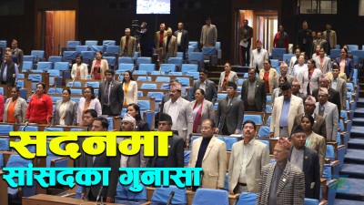  प्रतिनिधिसभा बैठक जारी [लाइभ] 